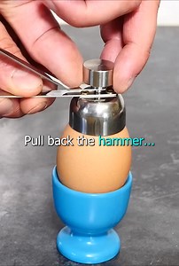 7.7K views · 14 reactions | The BEST gadget for eggs | Science Experiments | Facebook