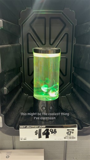 Maybe I am easily entertained, or maybe this truly is the coolest thing ever. Either way.. I’ll take ten of them. 😂🪼 | Autumn Collette