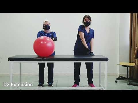 Modified Plantigrade: Improving Balance Control