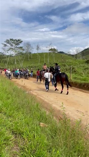 aca perdemos los 🐝🐝 🐝 🐝 🐝 🐝 #carrerasdecaballos