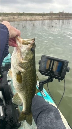 Canyon Lake Bass Kayak Tournament | My Big Bass 19in , Lots of Fish & Storms Hit! (March 7, 2026)