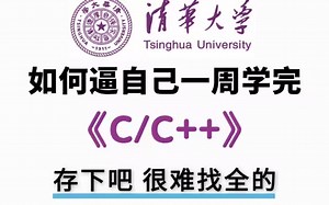 绝对是全站最细，2025全新录制C语言C  零基础入门教程，干货无废话，带你一步步从零小白入门到开发大佬！