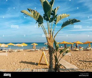 A view of the beach at Agathi,Rhodes, Greece. A popular tourist resort with plenty of soft sand and shallow water Stock Photo - Alamy