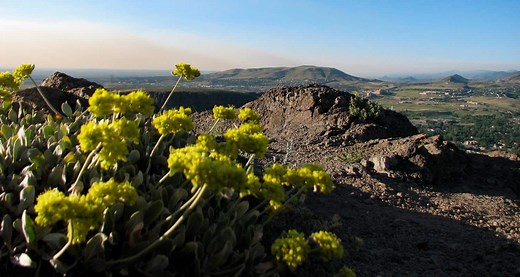 North Table Mountain Trail Hike - Golden, Colorado