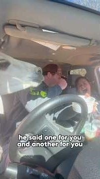 Alpaca's Got a Lot to Say… in Spit 🦙#alpaca #alpacas #drama #shorts