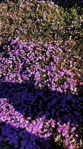 3.3K views · 197 reactions | Ruby Rose Turner on Reels | Facebook