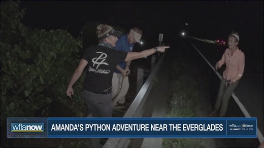 WFLA's Amanda Holly speaks on hunting, capturing Burmese python near FL Everglades