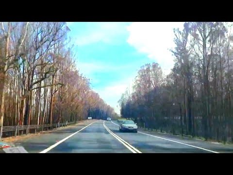 🌎 Driving to Mogo NSW 11/2/20. We stopped for a coffee, lunch, and grab souvenirs. Awesome town. 😎