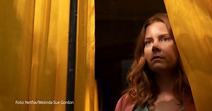 Die 5 besten Filme mit Amy Adams