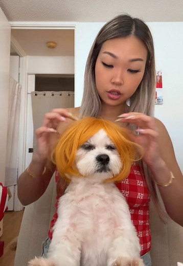 Mr. Toby Man's Wig Transformation: Trust the Process!