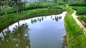 Wireless Webcam Kit 5mp 8camera NVR 1TB Sound Install Simple Store Wireless Camera