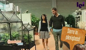 Giardino invernale fai da te? Con le mini serre è facile e elegante! - LEITV