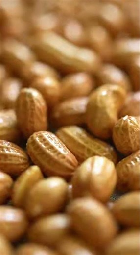 Inside a Planters Peanut Factory From Raw Groundnuts to Roasted Salted Snacks Full Process