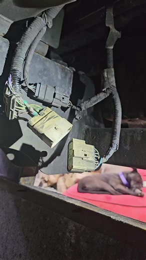 Ford F250 Wiring Harness Repair Guide