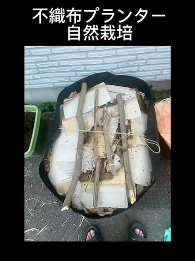 『家庭菜園』不織布プランターで自然栽培 #家庭菜園