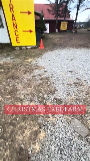 A fun family outing to Pioneer Trails Tree Farm! Don’t forget to pick up your fresh tree snd SO much more! #pioneertrailstreefarm #tiktoktreefarm #PTTF #christmasiscoming #christmas #christmastree #hotcoco #trees
