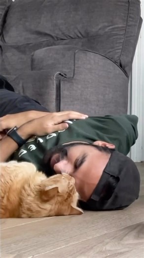 🎵 It’s a purr story, Kermit, just say, ‘Meow.’ 🎵 Purr Story (Kermit’s Version) #catsfortswift #lovestory #catslover #catdad #taylorswift #erastour | Javie and Mr. Kermit