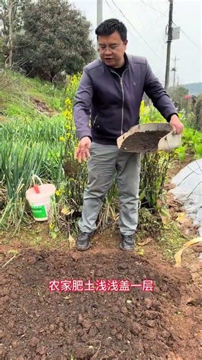 Easy Eggplant Seedling Cultivation & Yummy Eggplants - Do You Love Them