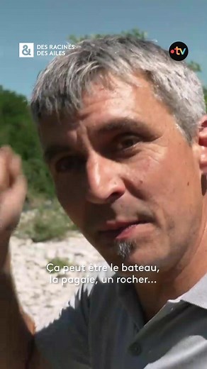 Le Pont d'Arc est une merveille naturelle unique au monde ! Cette arche grandiose, façonnée par la rivière Ardèche, mesure 54 mètres de haut et 60 mètres de large. Ce spot est incontournable pour les kayakistes amateurs de sensations fortes, mais aussi tout simplement pour admirer la beauté sauvage des gorges. ▶️ Notre émission, "Terroirs d'excellence en Ardèche" est toujours disponible sur la plateforme france.tv #DRDA #francetv #Ardeche | Des Racines et Des Ailes