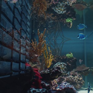 2.6K views | Try. Fail. Repeat. Grow. Hot Wheels® sparks creativity and imagination in every challenge. | Hot Wheels | Facebook