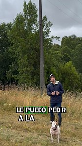 ¿Se pueden mover los postes de luz en tu parcela? ⚡ �Si tienes una parcela y un poste de luz pasa justo por el medio, ¡tranquilo! En este video te explicamos si es posible moverlo. 💡 A través de una solicitud, la compañía eléctrica puede autorizar y realizar el trabajo, pero en la mayoría de los casos, el dueño de la parcela debe asumir el costo. ¿Existen excepciones? 🤔 Sí, y en la parte 2 te contaremos en qué situaciones no tendrías que pagarlo. ¡Suscríbete y activa la campanita para no perde