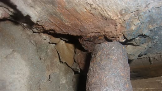 “It passed inspection” – Six months later, Rhode Island shut it down