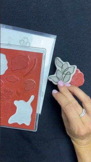 Comment appliquer 2 couleurs sur un tampon et créer une carte originale