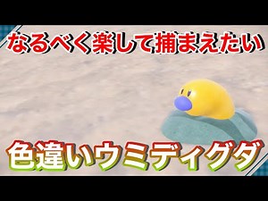 お久しぶりです。色違いウミディグダGETします。【ポケモンSV】