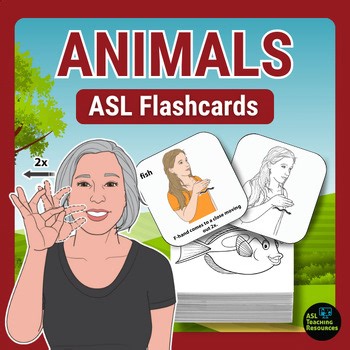 Animal Flashcards American Sign Language Visual Vocabulary Picture Cards ASL