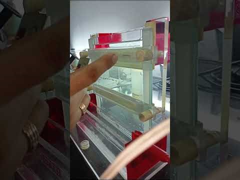 SDS - PAGE Full Practical Video | CAEHS College | Meerut