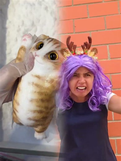 PABLITO MOLESTANDO AL BEBÉ #parati #fly #humor #comedia #sipessisabel