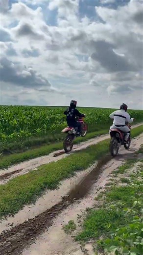Honda crf450r vs crf250r