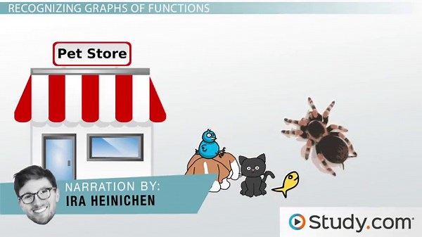 Compare Properties of Functions Graphically