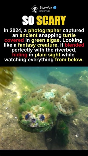 Real Life Mythical Forest Spirit