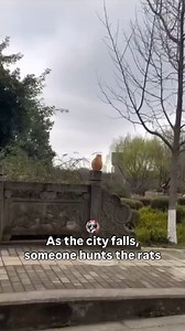 10K reactions · 1K comments | The Batcat 驪 . . . . . . #cat #reels #comic #cats #funny #catlover #fyp #reelsinstagram #catsofinstagram #comics | Funpawsplace | Facebook