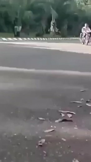 Hilarious Indonesian Meme Compilation: Laugh Out Loud with Funny Videos