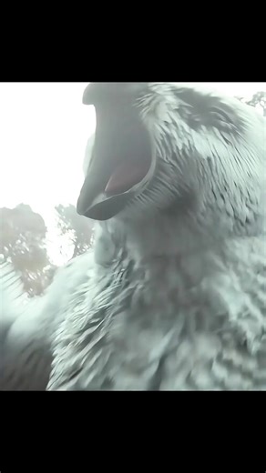 Maggie et ses métamorphoses : aventures héroïques