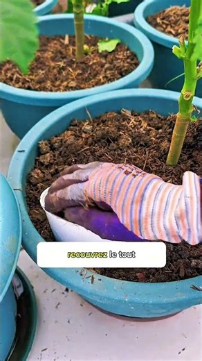 🌱 The secret to underground composting: turn your kitchen scraps into natural fertilizer! ♻️