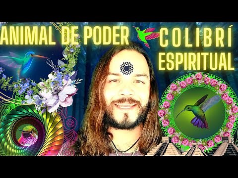 Animal de poder COLIBRÍ y su significado espiritual
