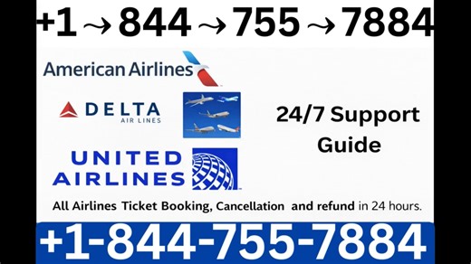 How to Contact Delta Airlines™ Customer Service Full Guide to Support Options