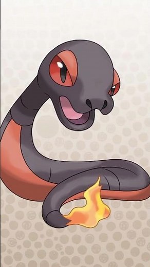 AUSSIE Pokemon Fakemon Region - Wombat And Snake Pokemon