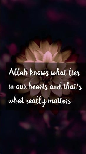Allah's Knows