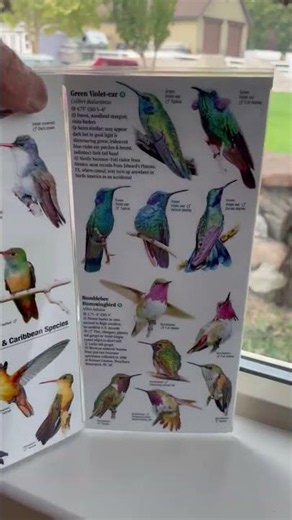 Humming Birds of North America Smal simple easy to use