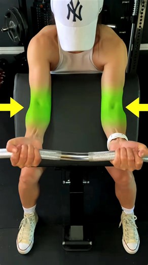 21K views · 169 reactions | Bicep Preacher Curl Key Points #biceps #bicepsworkout | Ariel Yu | Facebook