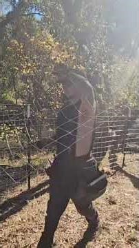 Throwing up a ranch fence