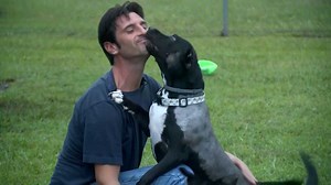 Dog finds loving forever home after video of their abuse goes viral