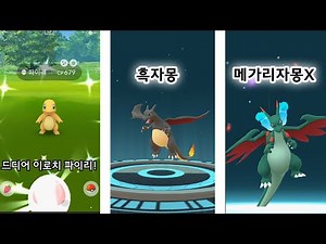 Shiny Charmander Community Day | shiny hunt and evolve into Black Charizard & Mega Charizard X