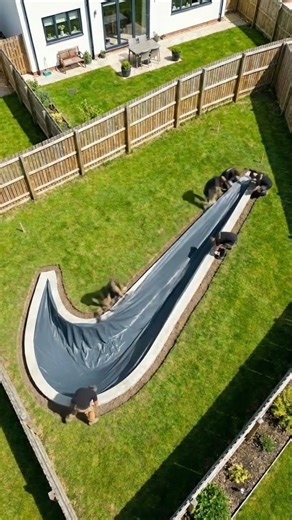 Workers Build an EPIC Nike Swoosh Pool 🏊‍♂️ #shorts #construction #amazing