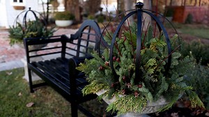 850K views · 17K reactions | DIY Sphere Topiary  | Garden Answer | Facebook