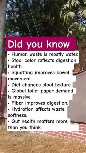 Surprising Facts About Human Poop